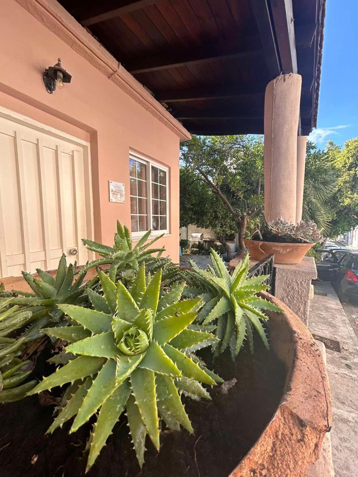 Villa Joyful Secret Garden House La Canea Exterior foto